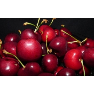 吃车厘子怎么不上火 车厘子吃多上火了咋办