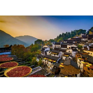 从乡村出发，赴一场开心旅行