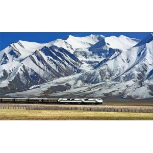 青藏高原人群的“幽灵祖先”找到了