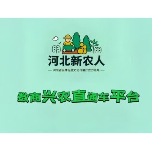 “数商兴农”背后的秘密