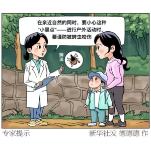 蜱虫活跃期 被叮咬后的正确做法是什么？专家提示