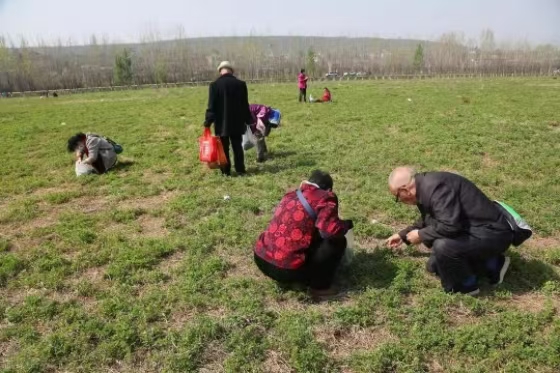春天的味道：野菜与诗词的不解之缘(图2)